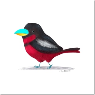 Black and Red Broadbill Bird Posters and Art